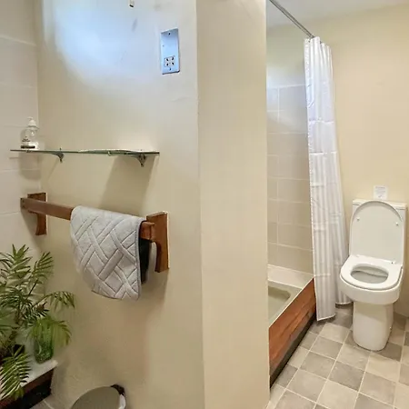 Rubbing House Marske